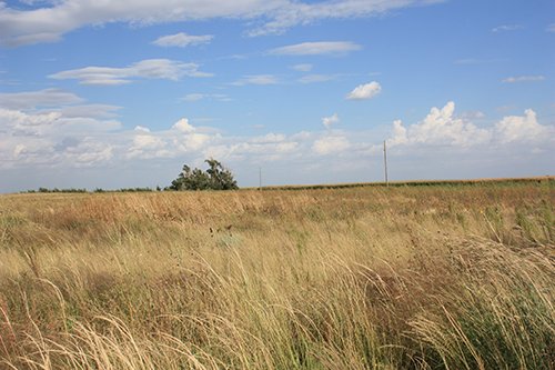 Property photo 20 - LAND AUCTION, 3255+/- Acres offered in 13 Tracts